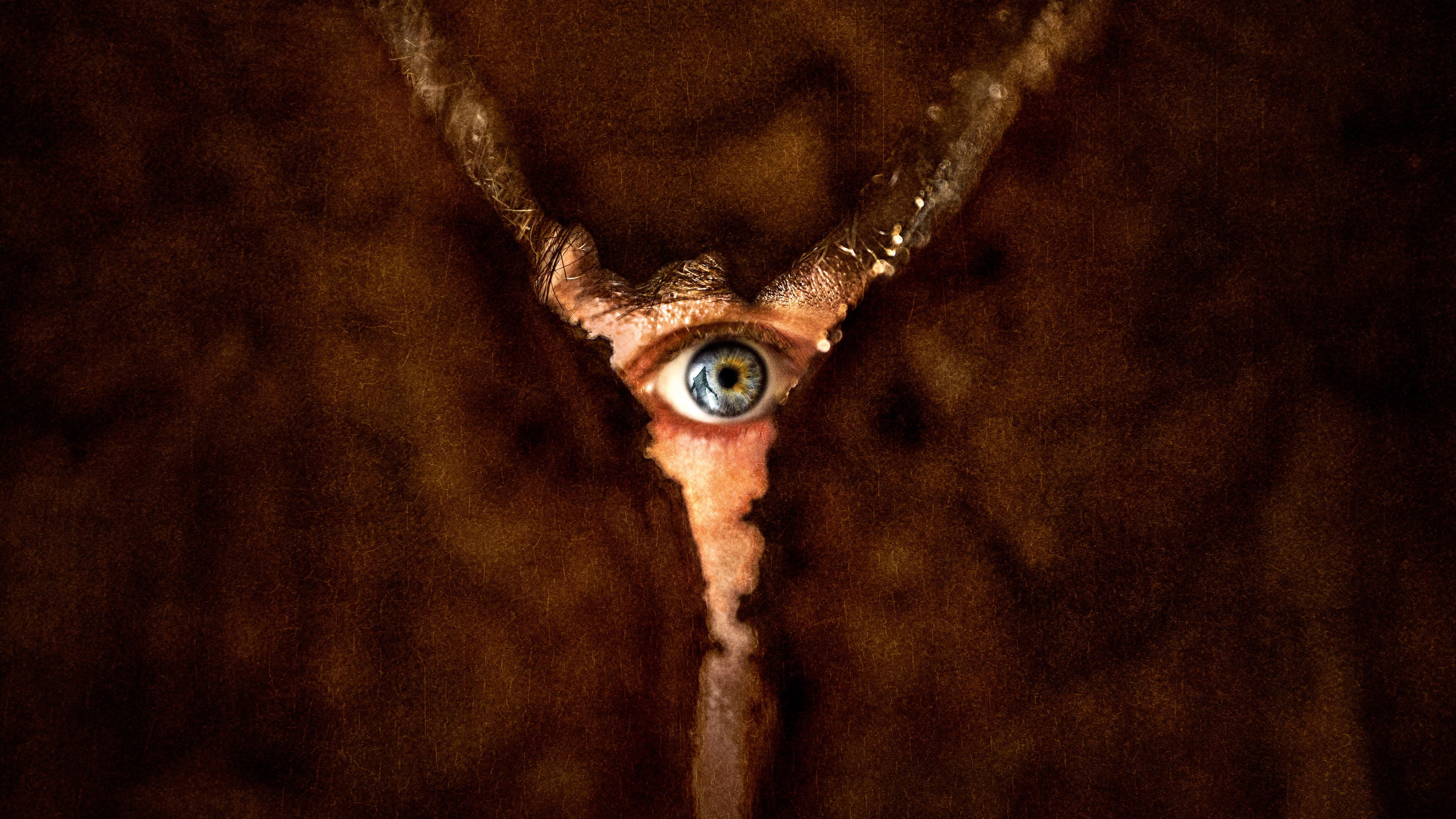 Return to Silent Hill's poster