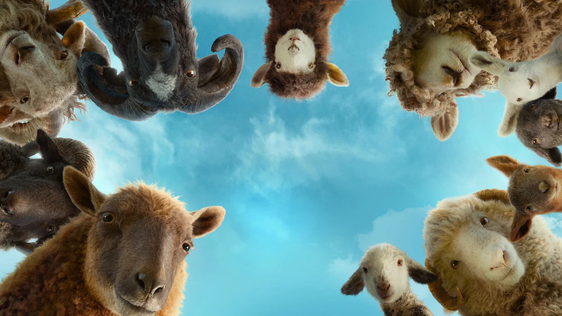 The Sheep Detectives's poster