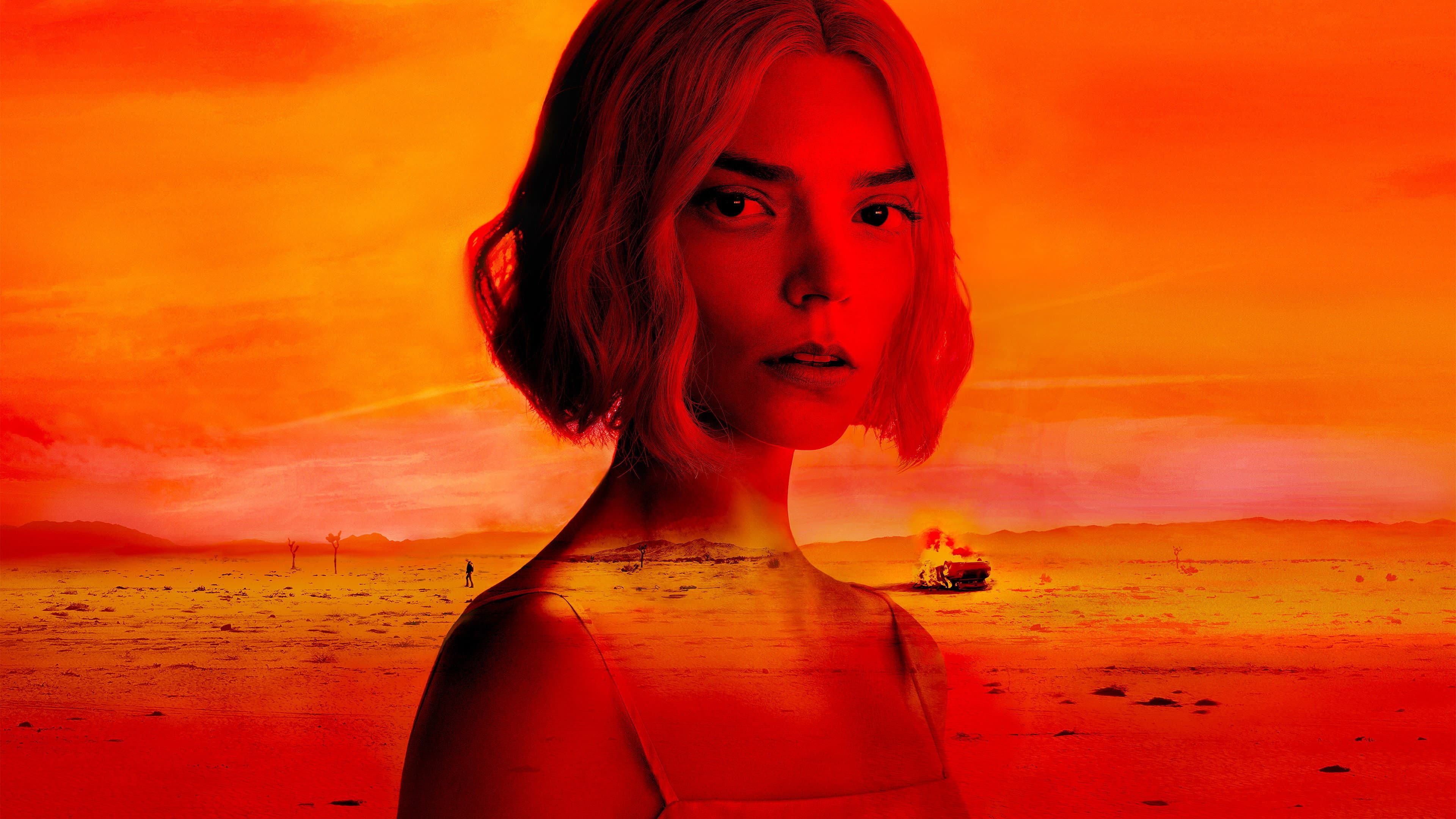 undefined's poster